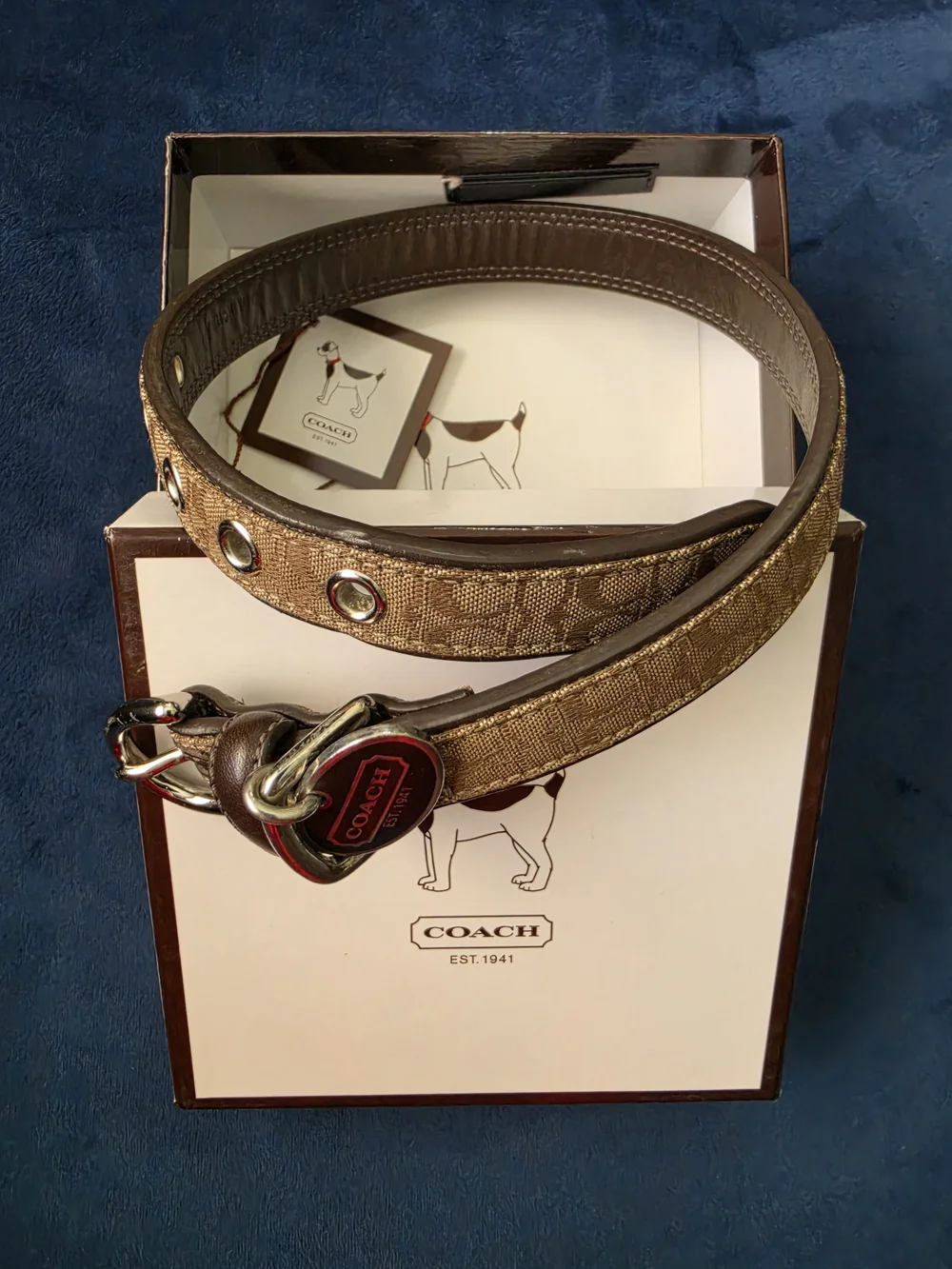 Coach Brown Signature Canvas Belt with Silver-Tone Hardware